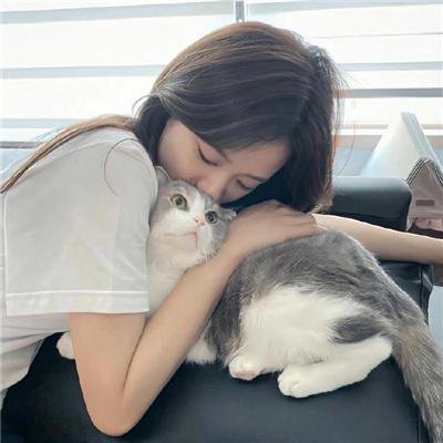 科搜研之女 剧场版